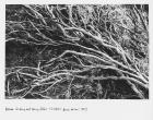 Between Un-being and Being (After T.S. Eliot’s, ‘Burnt Norton’, 1935), 2012 